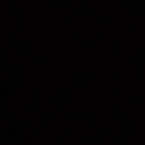 Meet your Posher, Demetrius